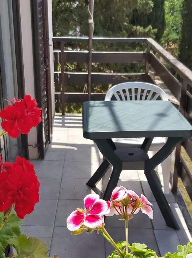 Apartmani Svitlana Sukošan 外观 照片